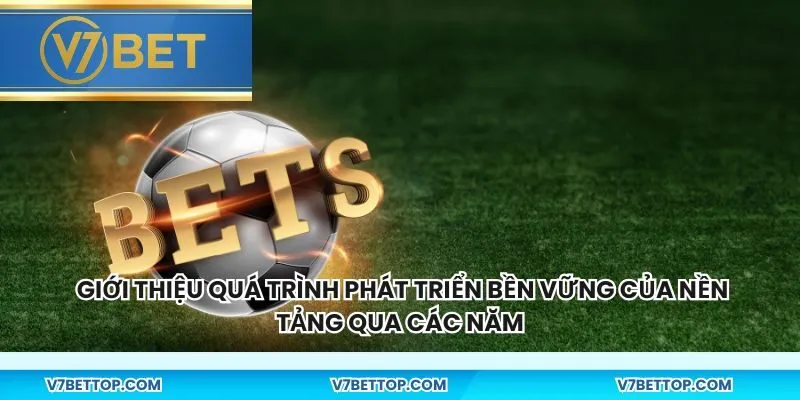 Giới thiệu quá trình phát triển bền vững của nền tảng qua các năm
