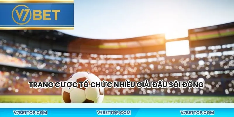 Trang cược tổ chức nhiều giải đấu sôi động